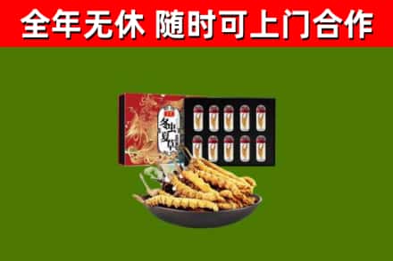 广陵区烟酒回收冬虫夏草礼盒.jpg